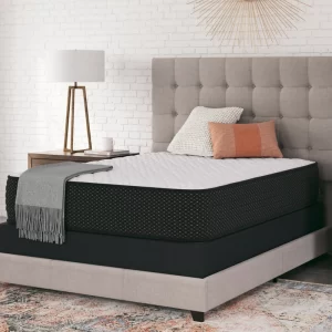 M410 Limited Edition Firm