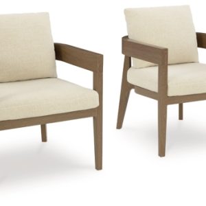 Serene Bay Outdoor Dining Arm Chair with Cushion (Set of 2)